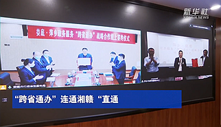 视频丨“跨省通办”连通湘赣“直通车”